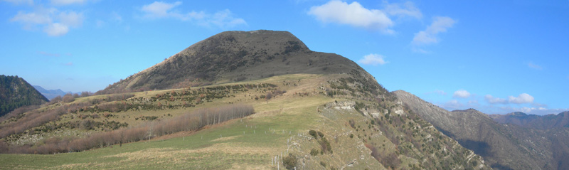 Monte Alpesisa