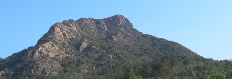 Monte Treggin