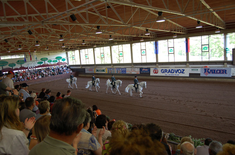 29-aprile-Lipica.jpg