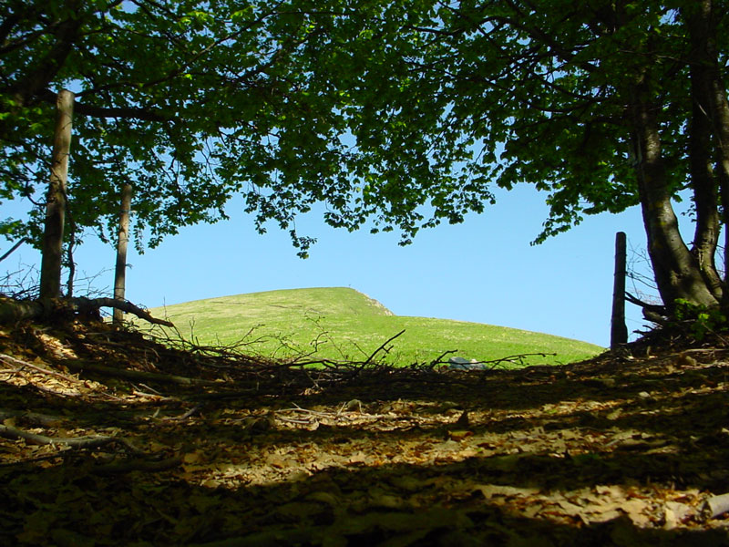 Monte-Carmo.jpg