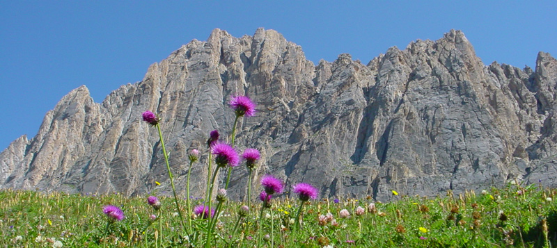 Rocca la Meia