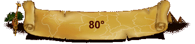 80