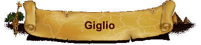 Giglio