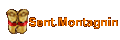 Sent.Montagnin