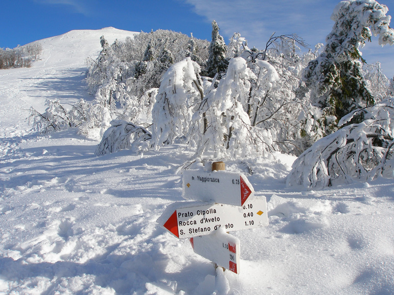 Panorami in neve